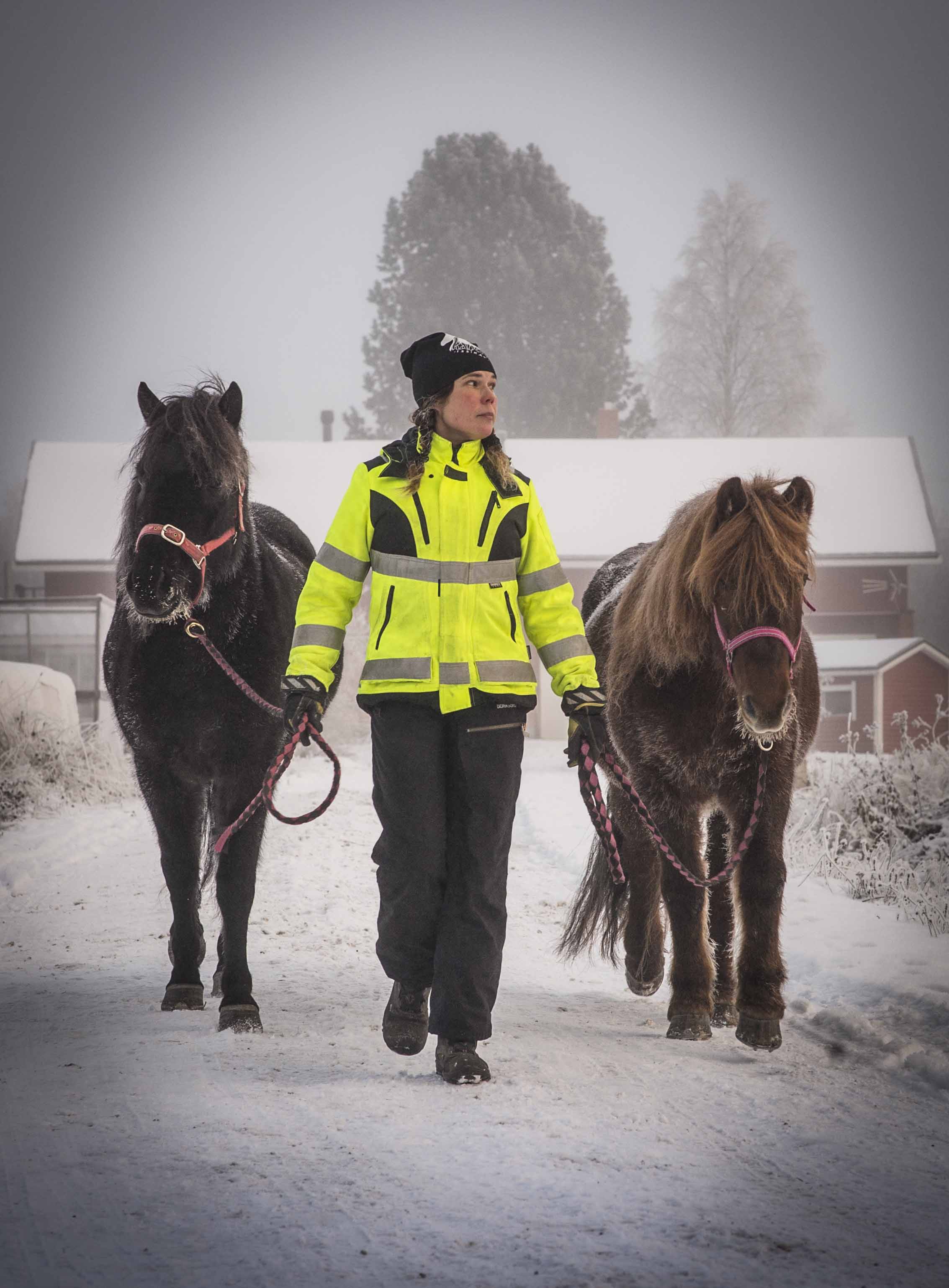 talutus_pk_pieni-411248