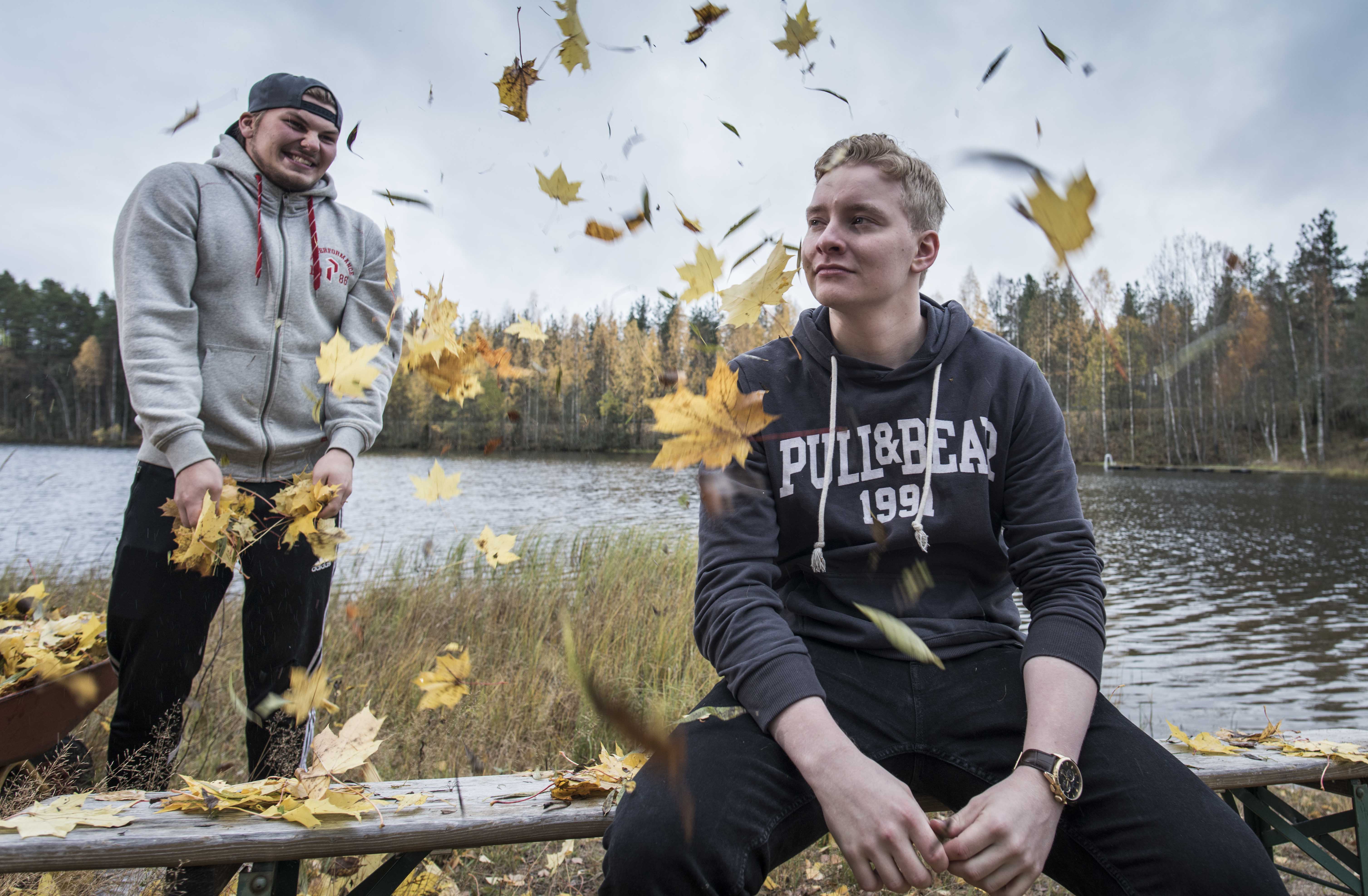 lehtien heittely pieni-9775