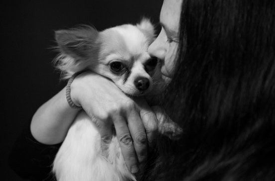 koira tyttö mv pieni-0848