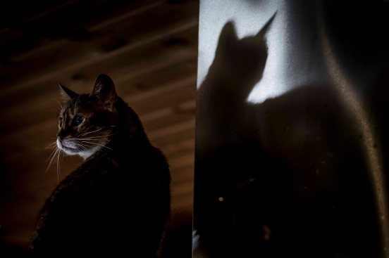 pieni heijastuskuva-410831