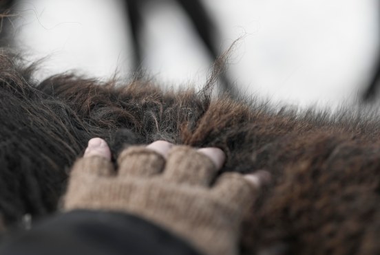 kosketus _pieni-6323